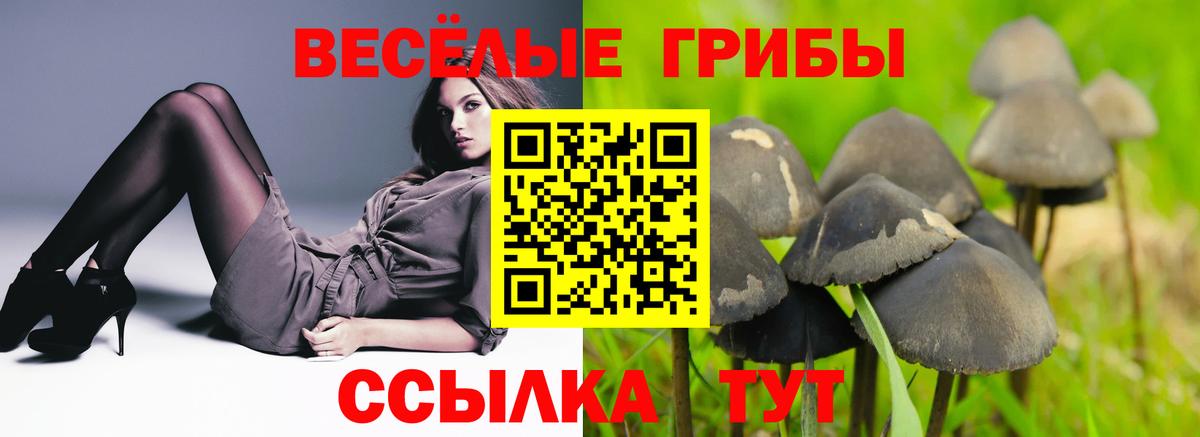 Псилоцибиновые грибы Magic Shrooms  Вход с VPN  Галлюциногенные грибы Psilocybine cubensis  Северобайкальск 